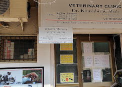 Dr. Khushbu R.Shah Veterinary surgeon - Pet Clinic in Haji Ali, Mumbai