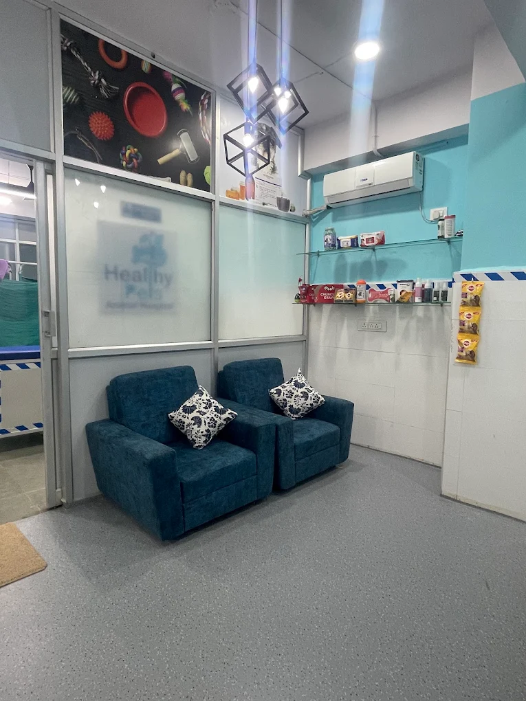 Healthy Pets Animal Hospital, Secunderabad Veterinary Clinic in Kompally, Hyderabad — Facility Photo 2