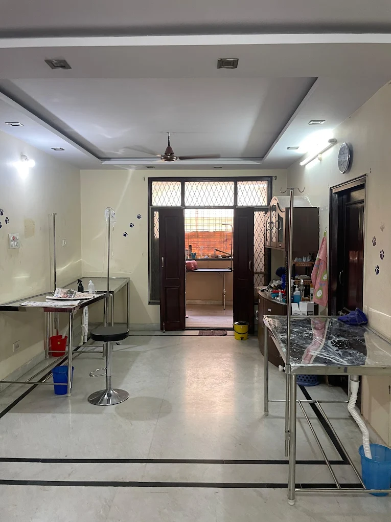 Pet Med Galaxy Veterinary Clinic Veterinary Clinic in Old Malakpet, Hyderabad — Facility Photo 18