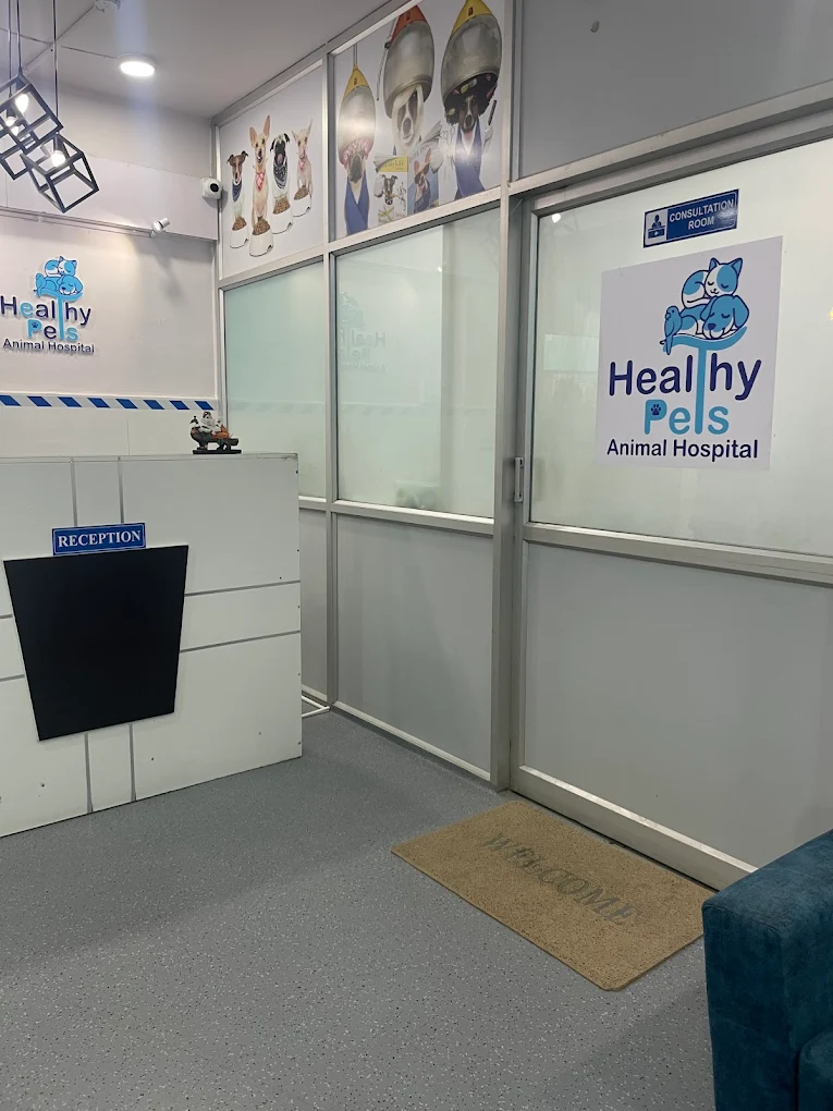 Healthy Pets Animal Hospital, Secunderabad Veterinary Clinic in Kompally, Hyderabad — Facility Photo 10