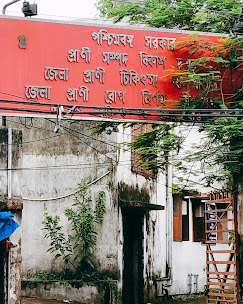 District Animal Hospital, Shibpur - Pet Clinic in Shibpur, Kolkata