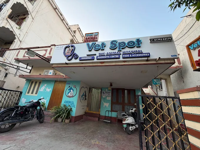 Vet Spot The Animal Hospital, Kukatpally - Pet Clinic in Kukatpally, Hyderabad