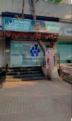 Dynamic Pet Clinic - Pet Clinic in Wadala, Mumbai