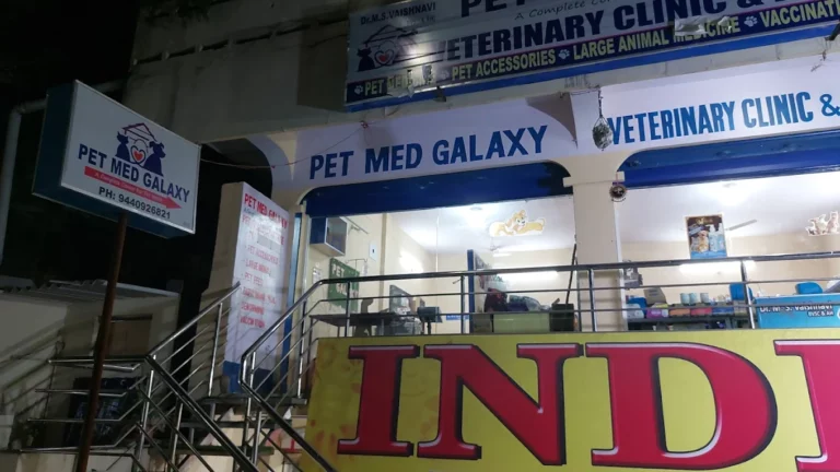 Pet Med Galaxy Veterinary Clinic - Pet Clinic in Old Malakpet, Hyderabad