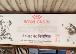 Dr Kalekar Vet Clinic - Pet Clinic in Govandi East, Mumbai