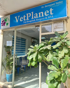 Vet Planet - Pet Clinic in Sector 25, Gurugram