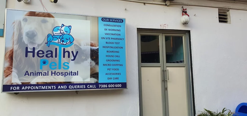 Healthy Pets Animal Hospital, Secunderabad Veterinary Clinic in Kompally, Hyderabad — Facility Photo 3