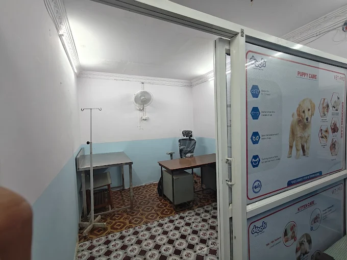 V Trust Pet Clinic Veterinary Clinic in Shaikpet, Hyderabad — Facility Photo 3