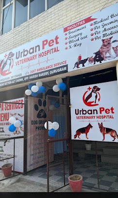 Urban Pet Veterinary Hospital, Sector 7 - Pet Clinic in Sector 7, Gurugram