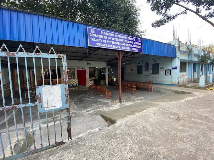 Veterinary Hospital & Dog Clinic, Belgachia Veterinary Clinic in Belgachia, Kolkata — Entrance/Facility Photo