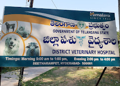 Veterinary Poly Clinic, Sitaram Bagh - Pet Clinic in Sitaram Bagh, Hyderabad
