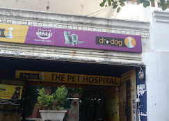 Dr Dog Pet Hospital, Film Nagar - Pet Clinic in Film Nagar, Hyderabad
