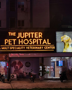 The Jupiter Pet Hospital, Kothaguda - Pet Clinic in Kothaguda, Hyderabad