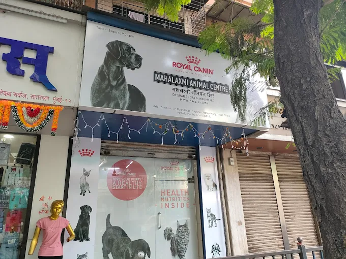 Mahalaxmi Animal centre - Pet Clinic in Jacob Circle, Mumbai