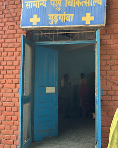 Government Animal Husbandry Hospital, Sector 10A - Pet Clinic in Sector 10A, Gurugram