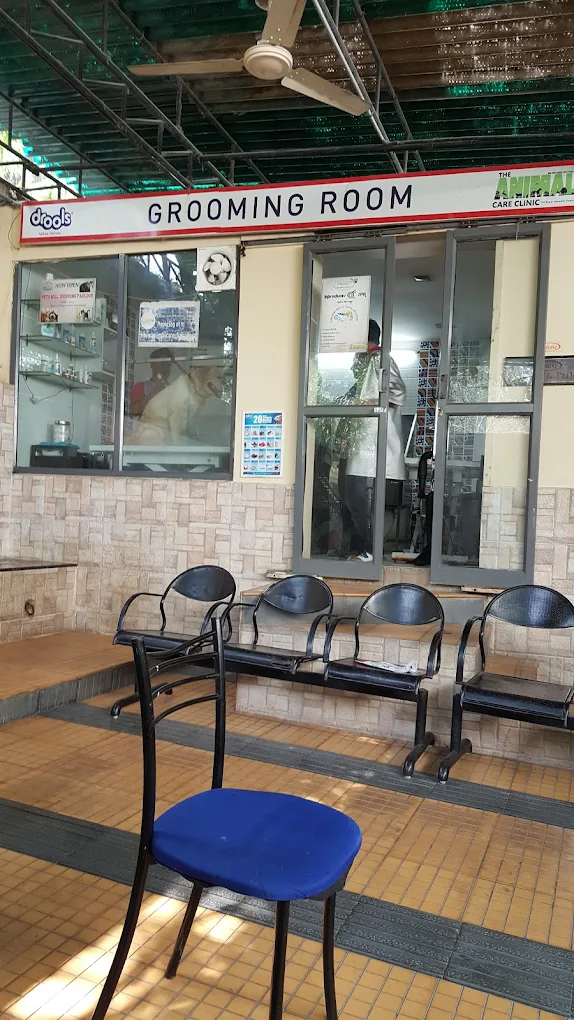 Animal Care Clinic, AS Rao Nagar Veterinary Clinic in AS Rao Nagar, Hyderabad — Facility Photo 9