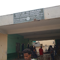 Government Veterinary Hospital, Chandrayangutta - Pet Clinic in Chandrayangutta, Hyderabad