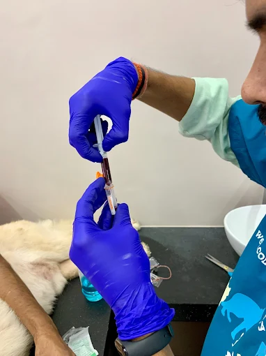 Posh Vets Veterinary Clinic in Bandra West, Mumbai — Facility Photo 7