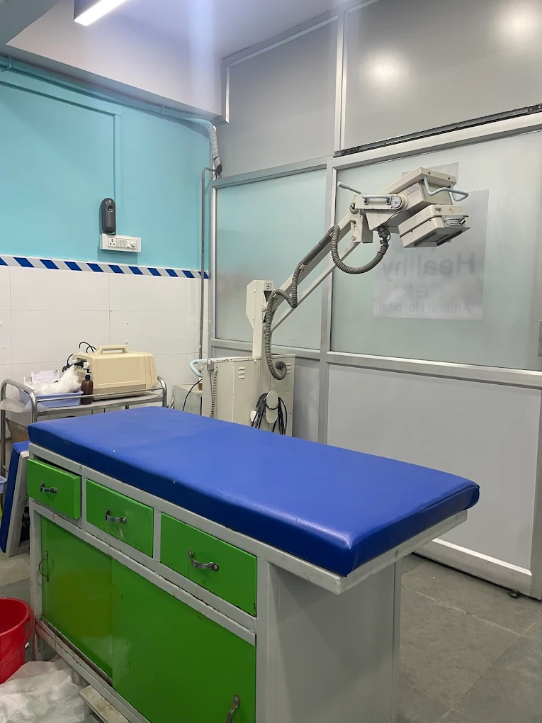 Healthy Pets Animal Hospital, Secunderabad Veterinary Clinic in Kompally, Hyderabad — Facility Photo 6