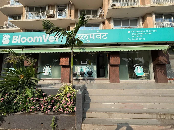 BloomVet Veterinary Clinic in Santacruz West, Mumbai — Entrance/Facility Photo