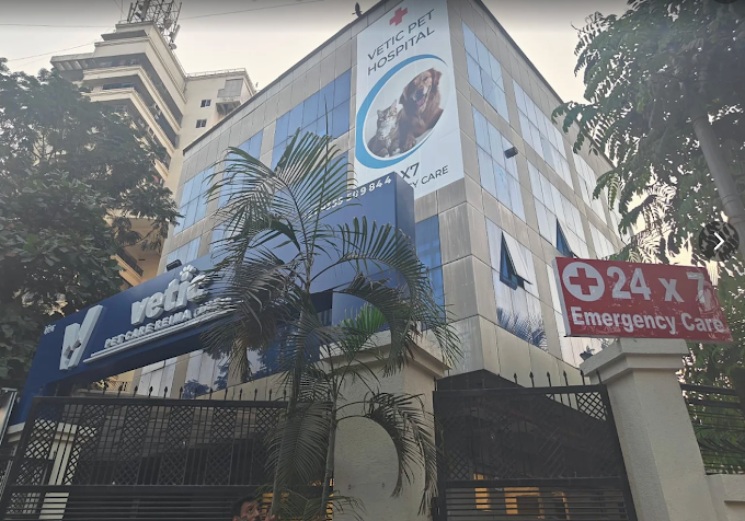 Vetic Pet Clinic, Andheri West Veterinary Clinic in Andheri West, Mumbai — Entrance/Facility Photo