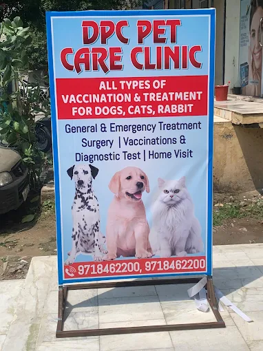 DPC Pet Care Clinic, Sector 11 Veterinary Clinic in Sector 11, Gurugram — Facility Photo 2