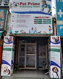 Pet Prime, Sector 5 - Pet Clinic in Sector 5, Gurugram