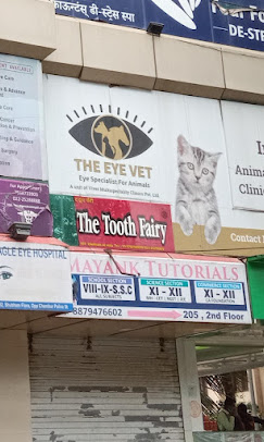 The Eye Vet, Chembur - Pet Clinic in Chembur, Mumbai