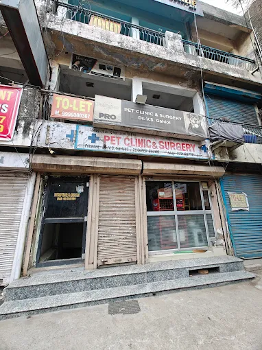 Pet Clinic & Surgery, Roshan Pura - Pet Clinic in Roshan Pura, Gurugram