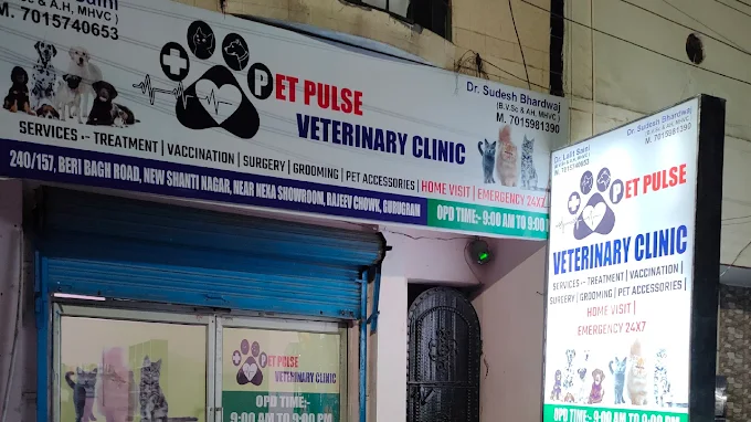 Pet Pulse Veterinary Clinic, Sector 11 - Pet Clinic in Sector 11, Gurugram