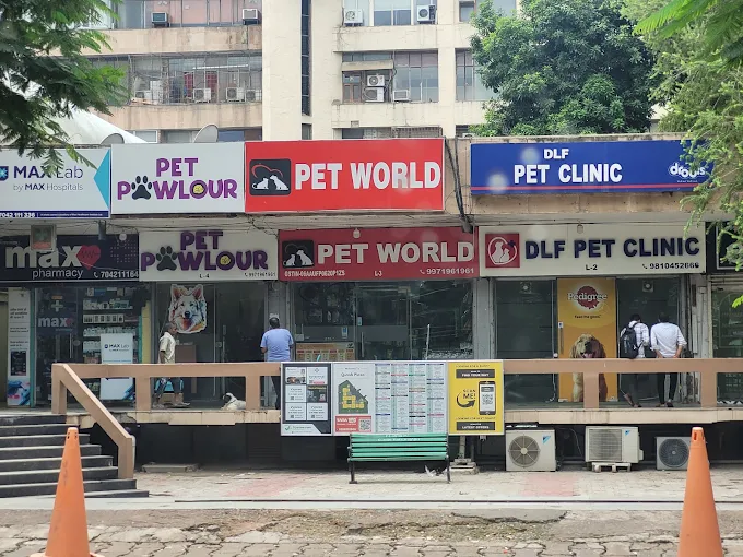DLF Pet Clinic, Sector 26A - Pet Clinic in Sector 26A, Gurugram