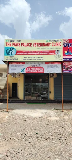 The Paws Palace Veterinary Clinic, Sector 37D Veterinary Clinic in Sector 37D, Gurugram — Entrance/Facility Photo