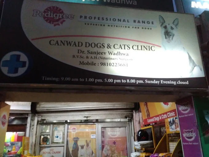Canwad Dogs & Cats Clinic - Pet Clinic in Sector 14, Gurugram
