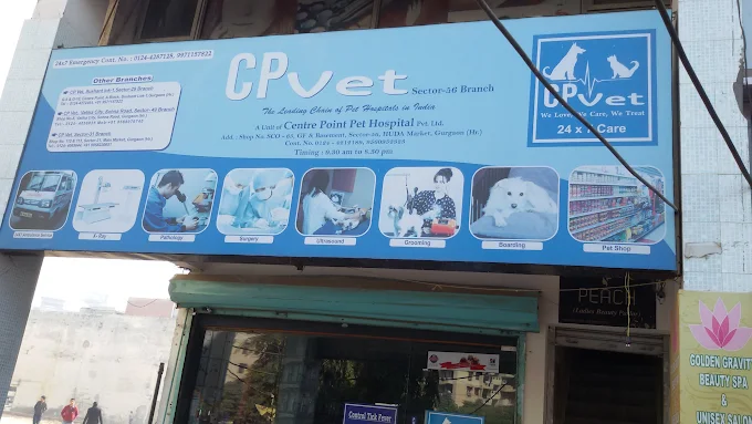 CP Vet, Sector 56 Veterinary Clinic in Sector 56, Gurugram — Entrance/Facility Photo