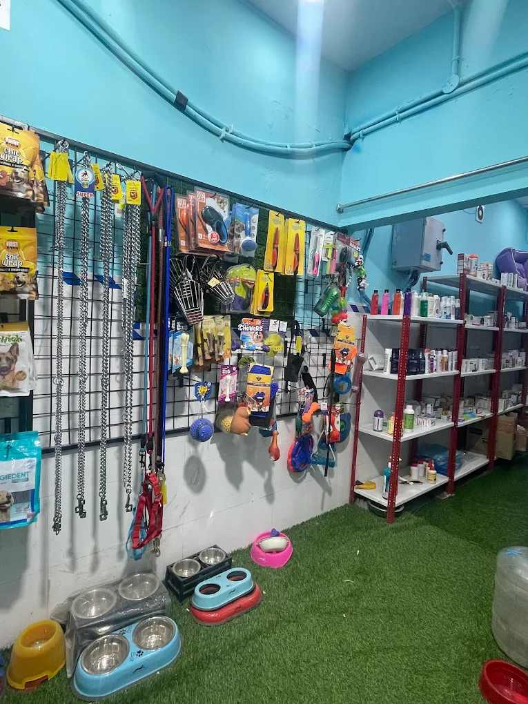 Healthy Pets Animal Hospital, Secunderabad Veterinary Clinic in Kompally, Hyderabad — Facility Photo 8