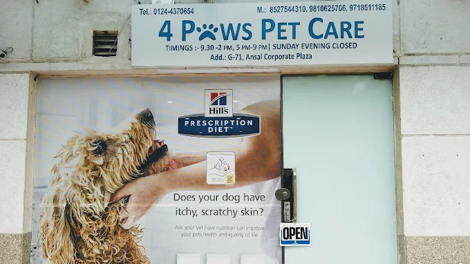 4 Paws Pet Clinic, Palam Vihar - Pet Clinic in Palam Vihar, Gurugram