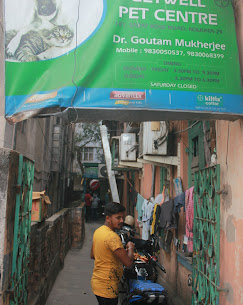 Get Well Pet Centre - Pet Clinic in Ballygunge, Kolkata