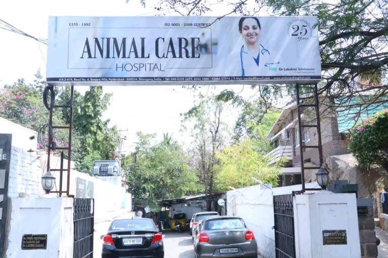 Animal Care Clinic, AS Rao Nagar - Pet Clinic in AS Rao Nagar, Hyderabad
