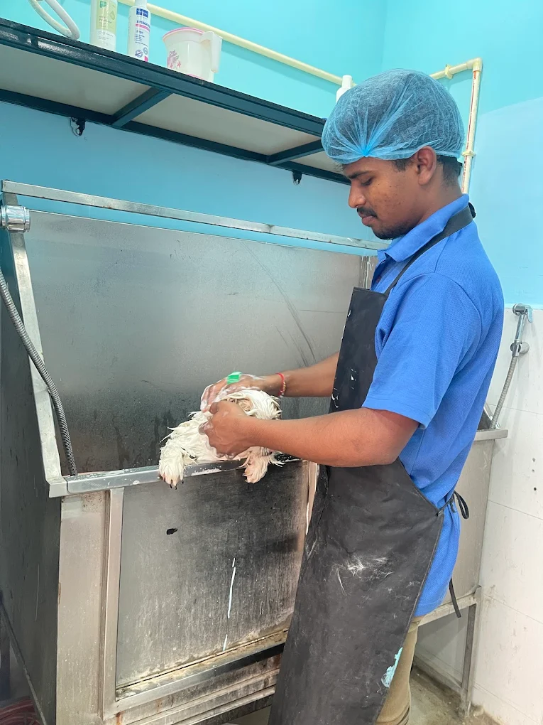 Healthy Pets Animal Hospital, Secunderabad Veterinary Clinic in Kompally, Hyderabad — Facility Photo 9
