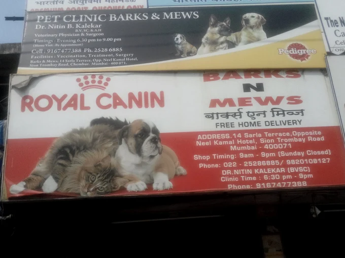 Barks N Mews Veterinary Clinic in Chembur, Mumbai — Facility Photo 2
