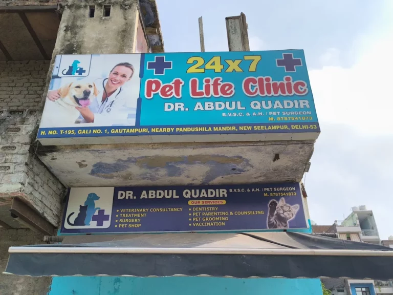 24×7 Petlife Clinic, Seelampur - Pet Clinic in Seelampur, Delhi