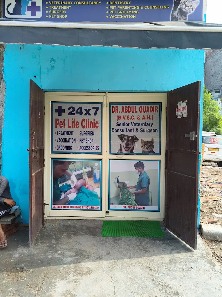 24×7 Petlife Clinic, Seelampur Veterinary Clinic in Seelampur, Delhi — Facility Photo 6