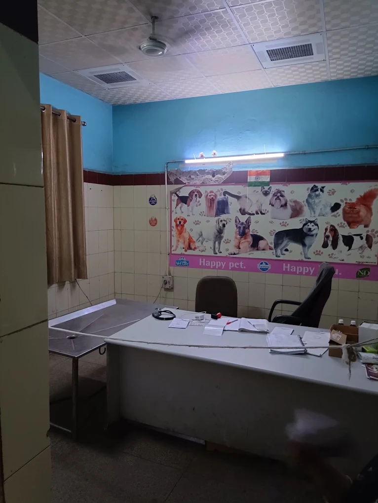 Animal Hospital, Tis Hazari Veterinary Clinic in Tis Hazari, Delhi — Facility Photo 8