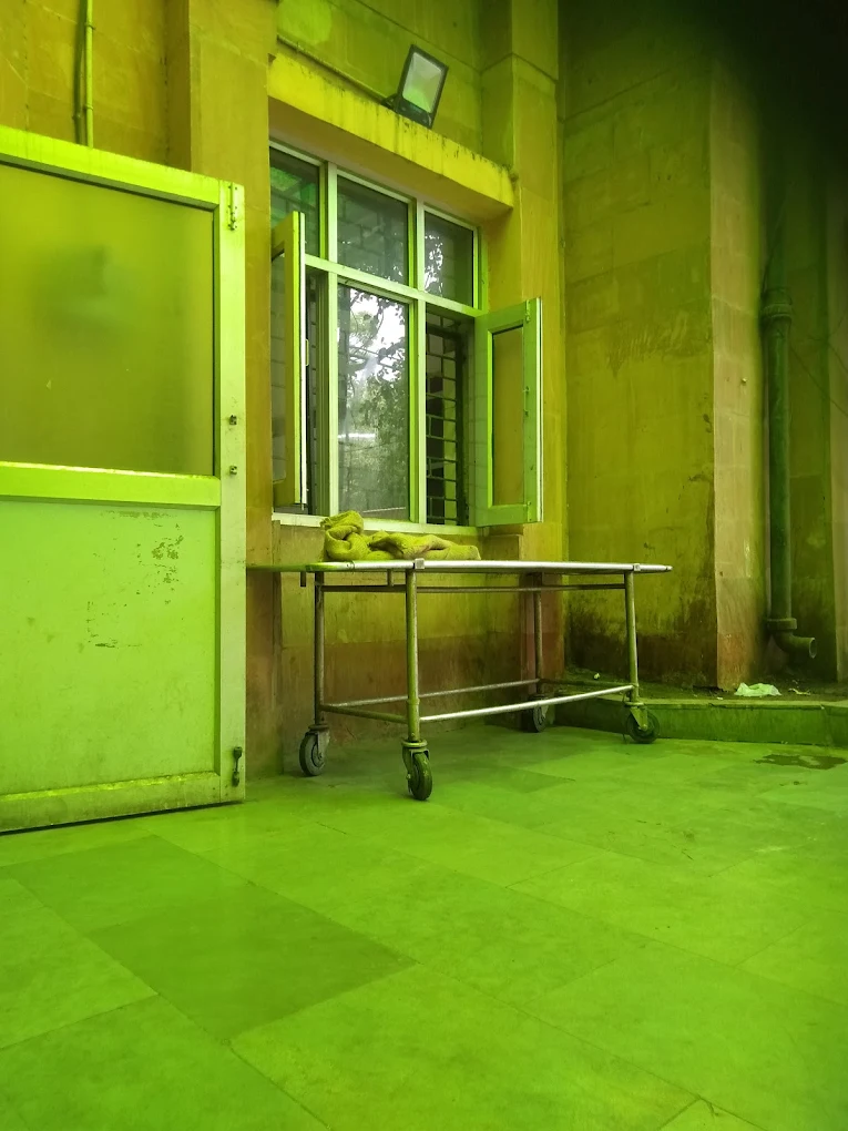 Animal Hospital, Tis Hazari Veterinary Clinic in Tis Hazari, Delhi — Facility Photo 5
