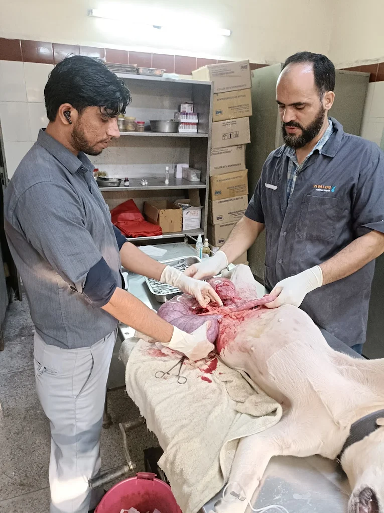 Animal Hospital, Tis Hazari Veterinary Clinic in Tis Hazari, Delhi — Facility Photo 3