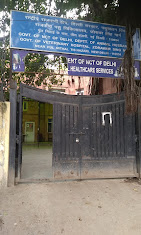 Animal Hospital, Tis Hazari - Pet Clinic in Tis Hazari, Delhi