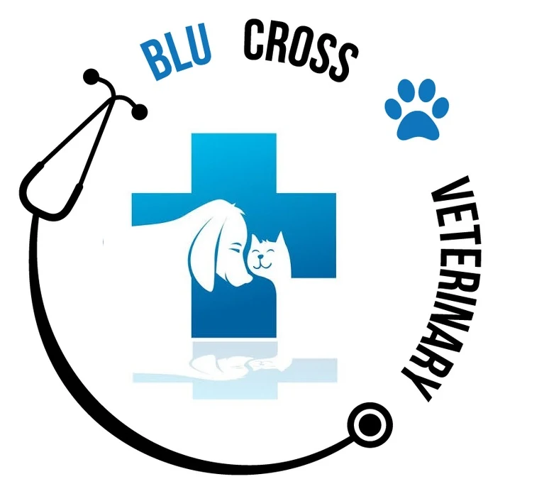 Blu Cross Veterinary Hospital, Lajpat Nagar Veterinary Clinic in Lajpat Nagar, Delhi — Entrance/Facility Photo