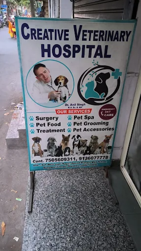 Creative Veterinary Hospital, Shahdara Veterinary Clinic in Shahdara, Delhi — Facility Photo 4