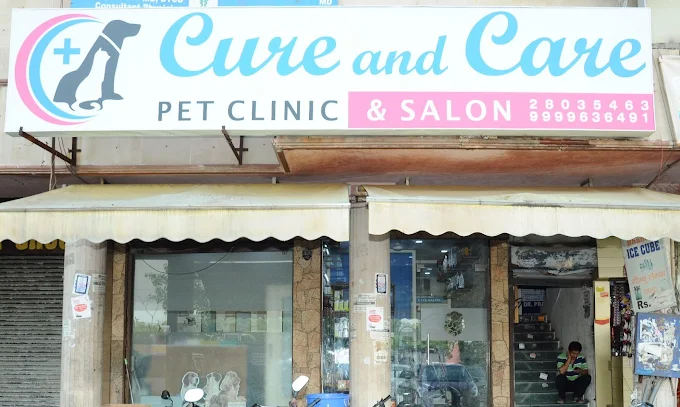 Cure and Care Pet Clinic, Dwarka - Pet Clinic in Dwarka, Delhi