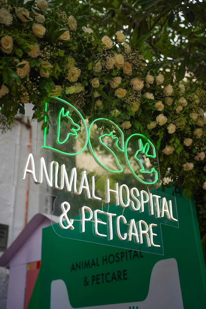 DCC Animal Hospital & Petcare, Masjid Moth Village - Pet Clinic in Masjid Moth Village, Delhi